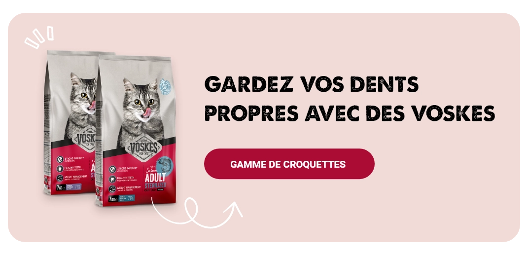 gamme de croquettes avec Voskes