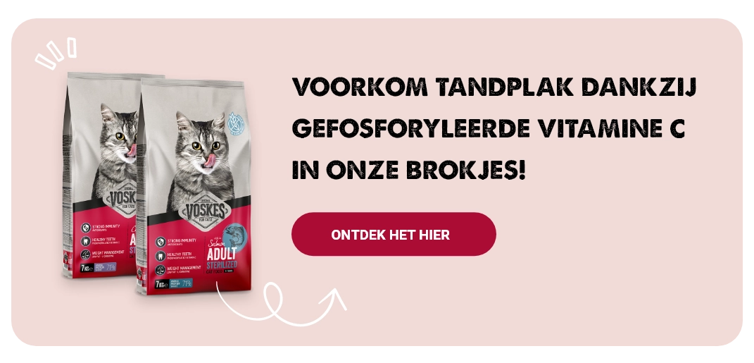 Droogvoerassortiment van Voskes