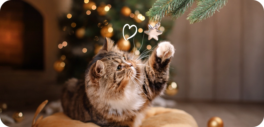 Conseils pour des fêtes de fin d’année paisibles et en toute sécurité avec votre animal de compagnie !