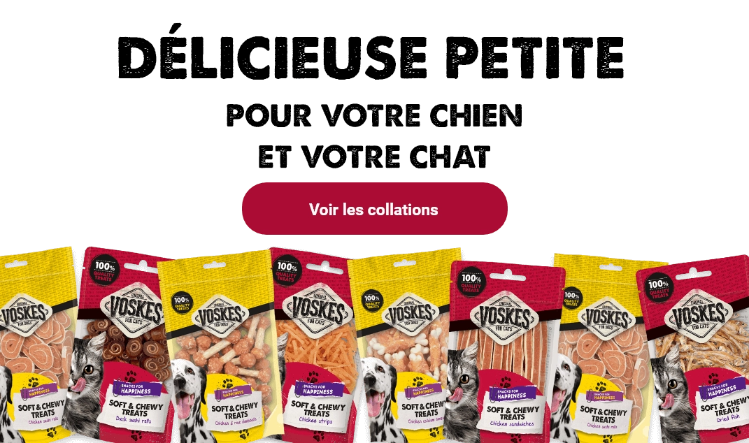 Une délicieuse petite friandise fait des merveilles pour un chien ou un chat
