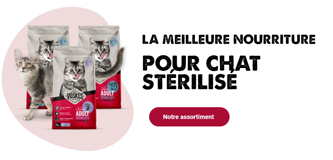 Quelle différence entre Voskes Adult Sterilized et Voskes Adult Complete ? Lisez-le ici !