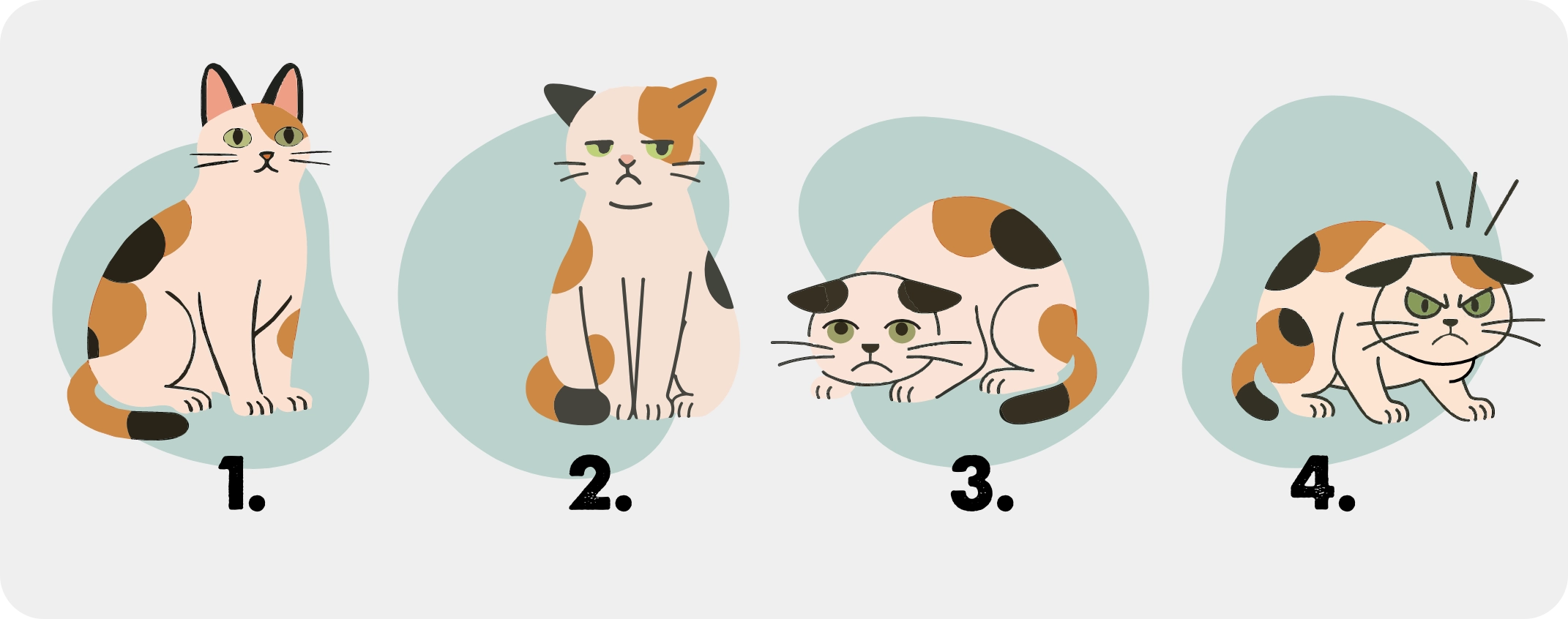 De oren van katten