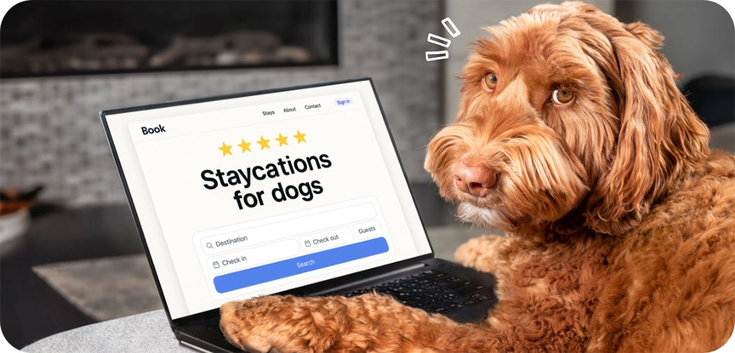 Des vacances sans votre animal de compagnie… faites en sorte que ce soit agréable pour tous les deux !