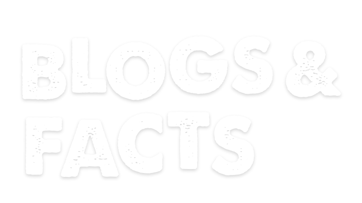 Blogs & Facts