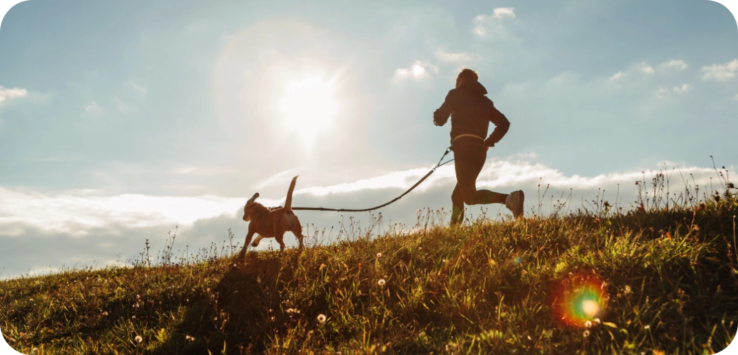 Gezonde voornemens voor jou en je hond