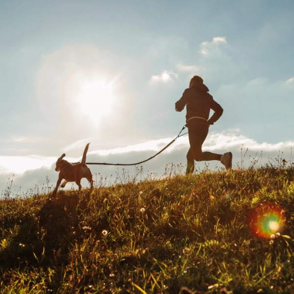 Gezonde voornemens voor jou en je hond