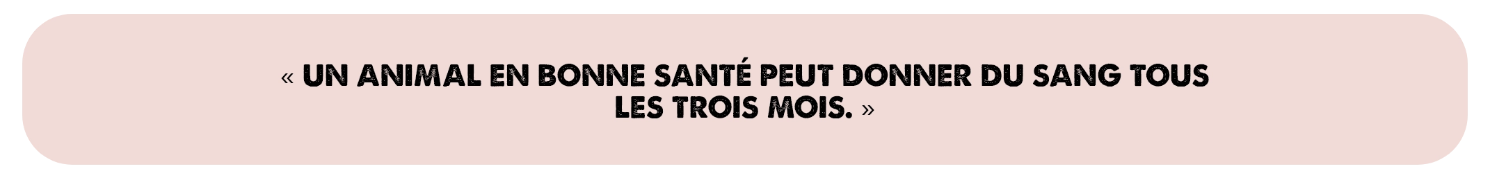 « Un animal en bonne santé peut donner du sang tous les trois mois. »