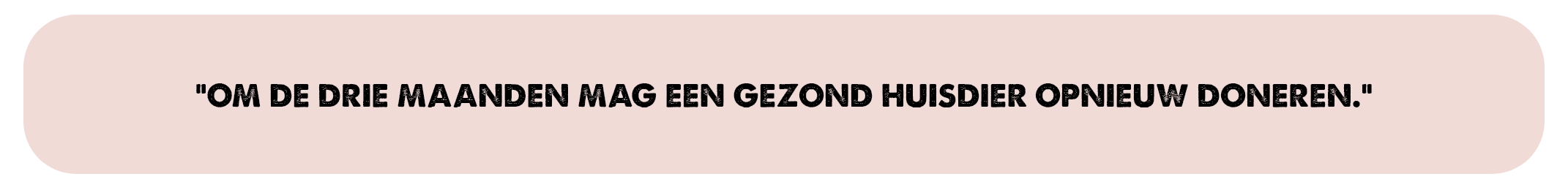 “Om de drie maanden mag een gezond huisdier opnieuw doneren.%22