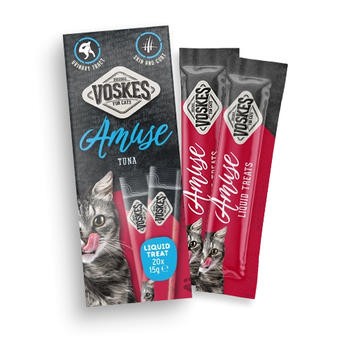 Amuse sticks van Voskes