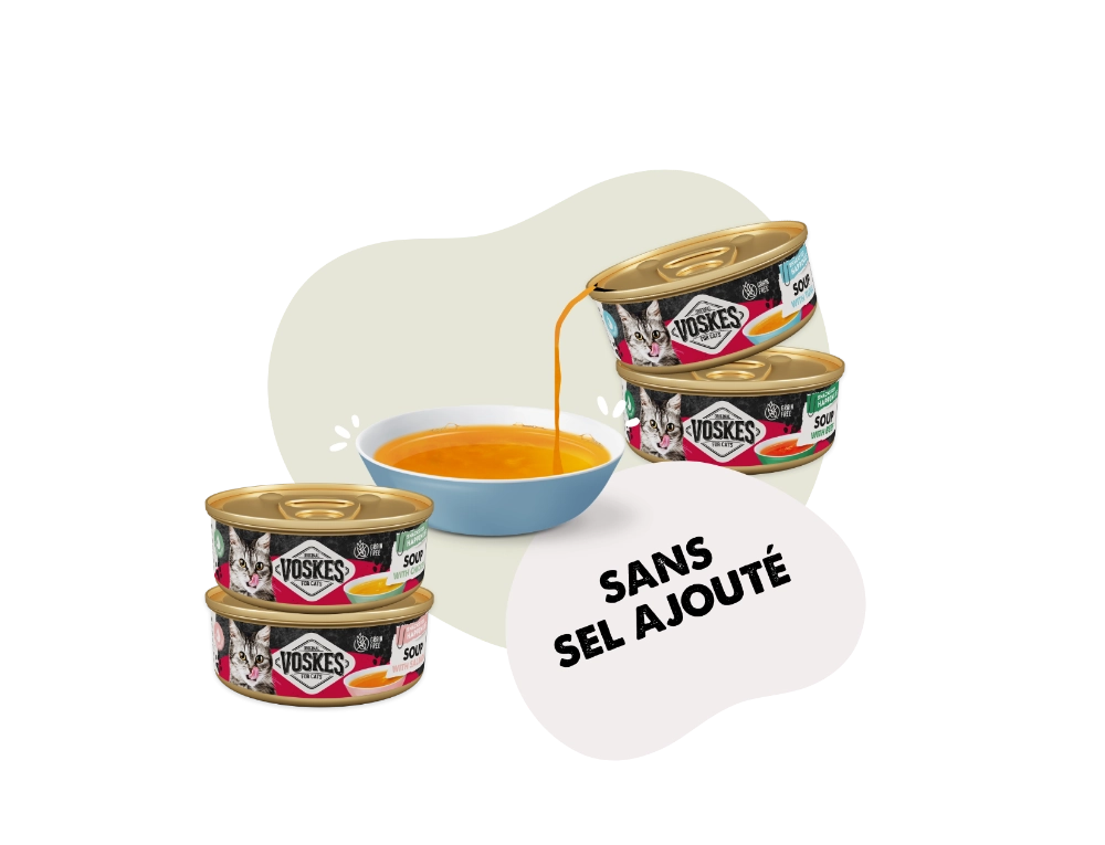 les savoureuses soupes Voskes.