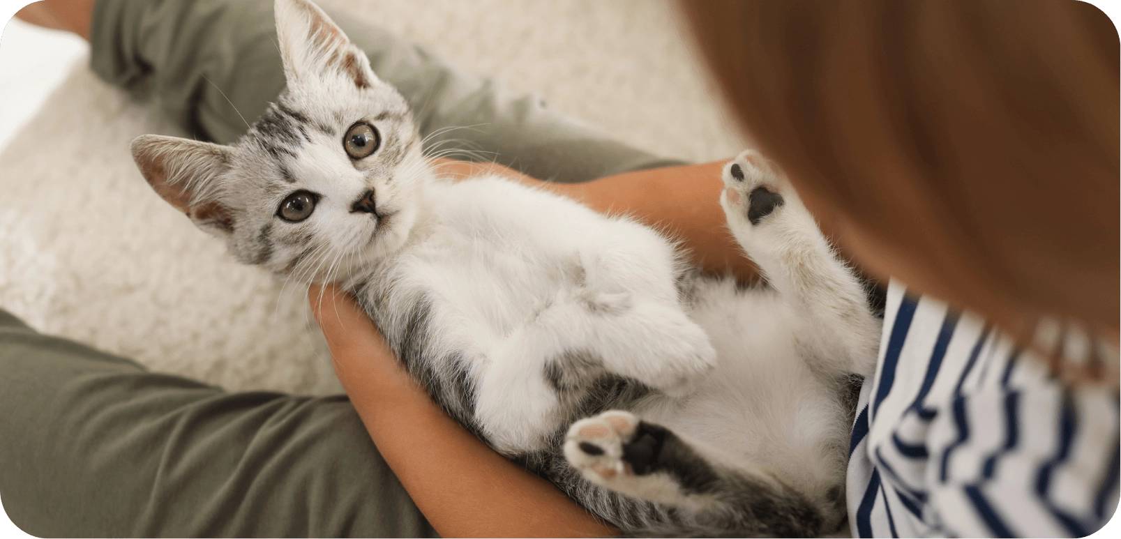  Wat heb je nodig voor een kitten?