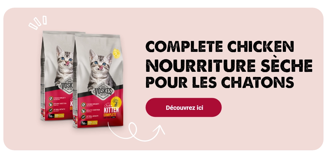 Kitten Complete Chicken