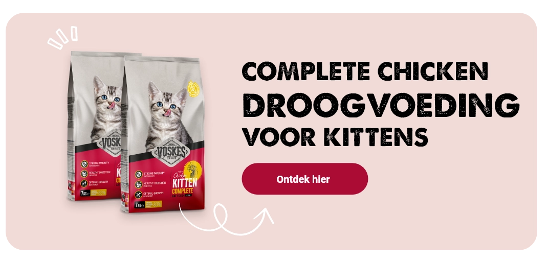 Kittenvoeding van Voskes