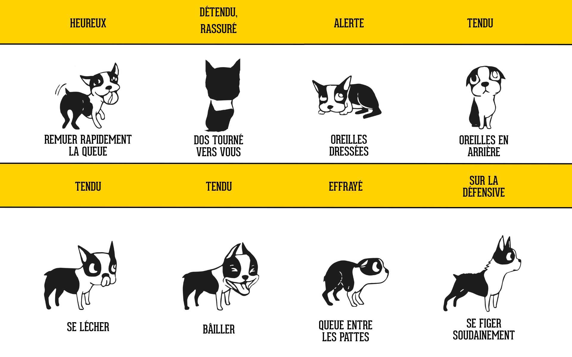 Chien Communications Voskes