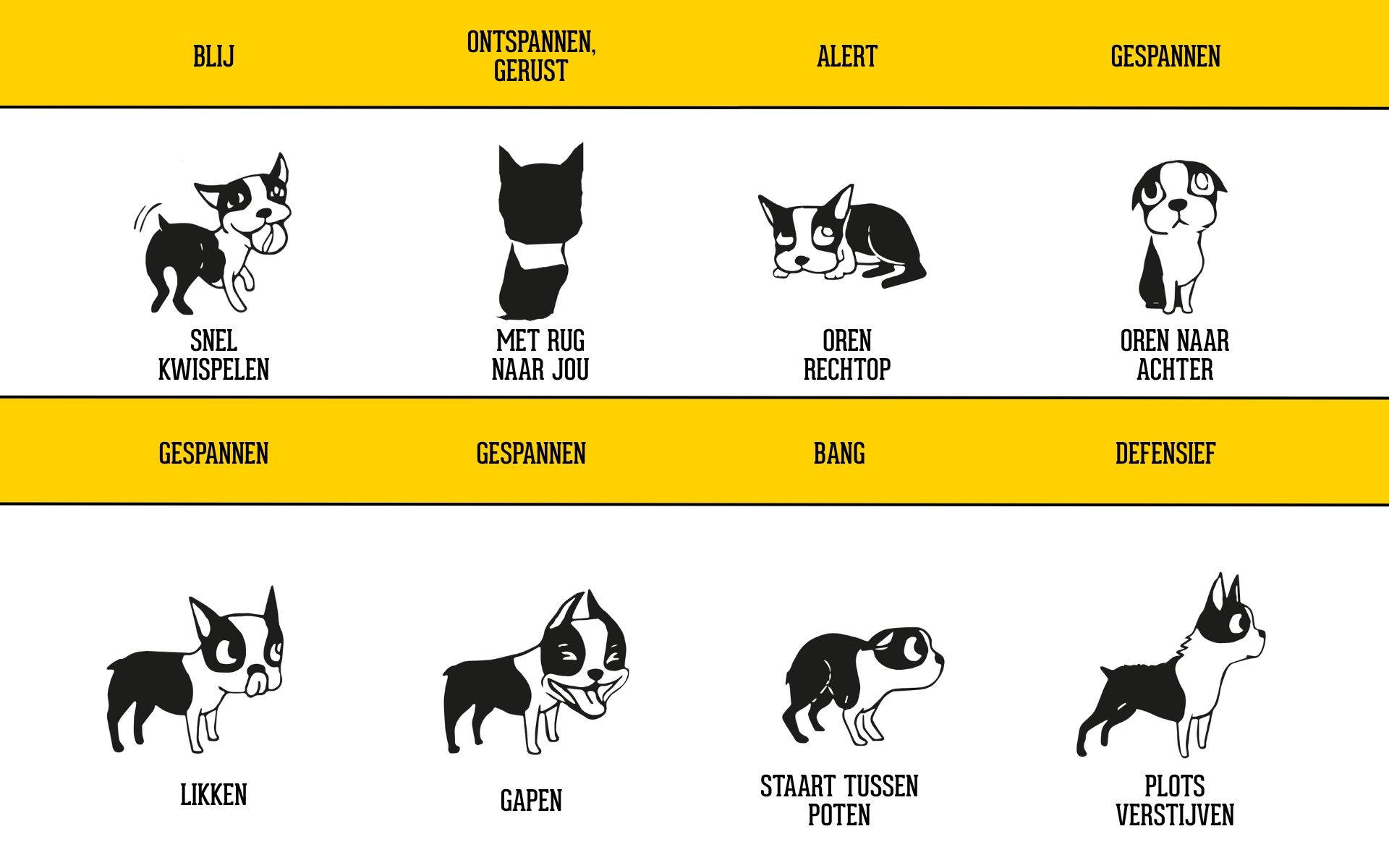 Hondentaal met Voskes