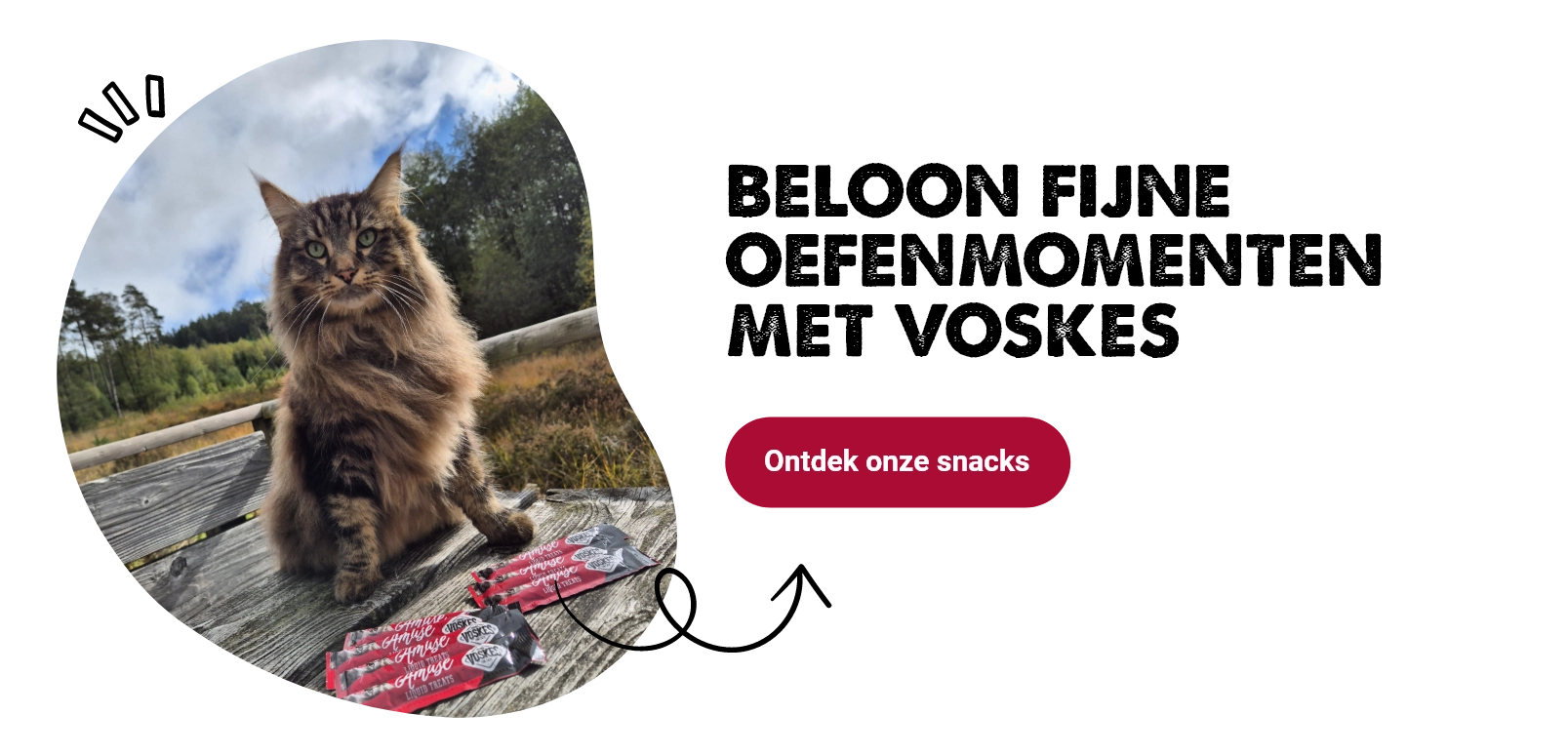 Voskes snacks voor jouw kat